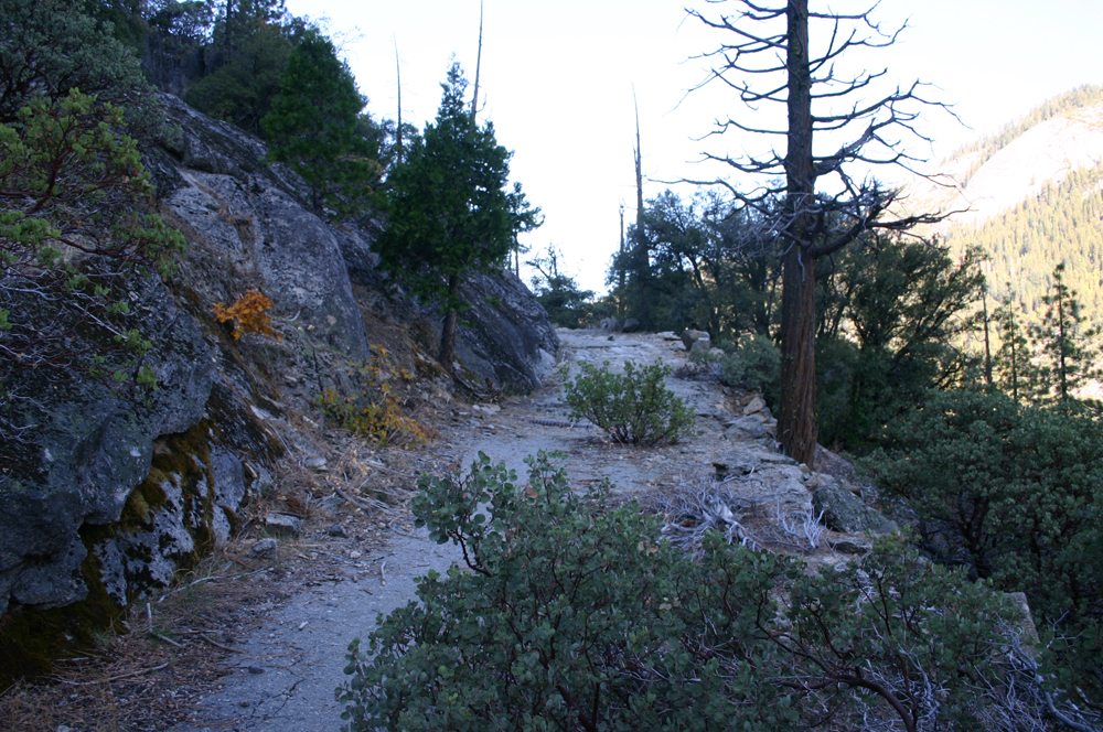 Old Wawona Stage Coach Road