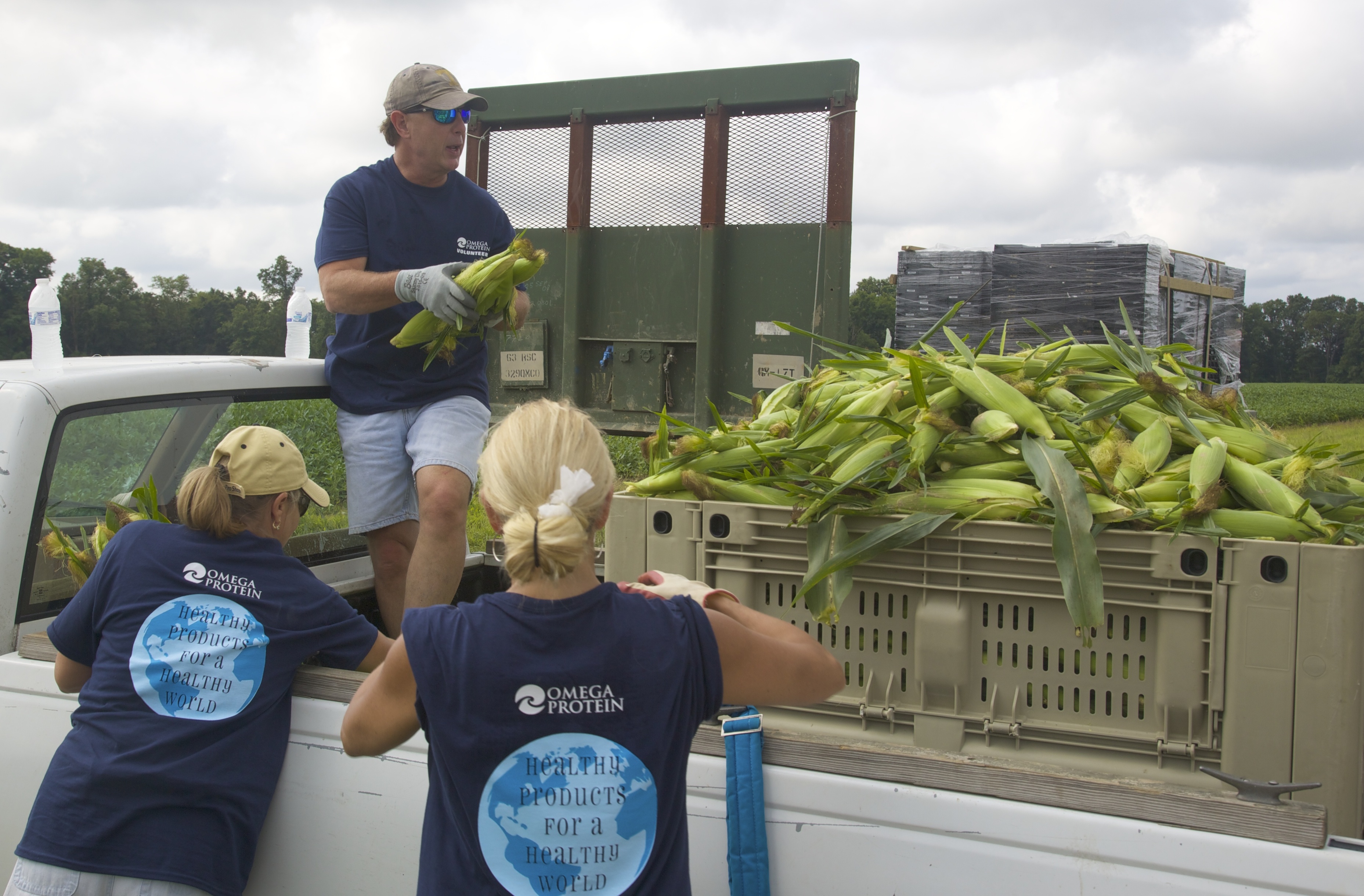 Omega Protein employees load some of the nearly 6,000 pounds of produce gleaned from local corn crops on Saturday.