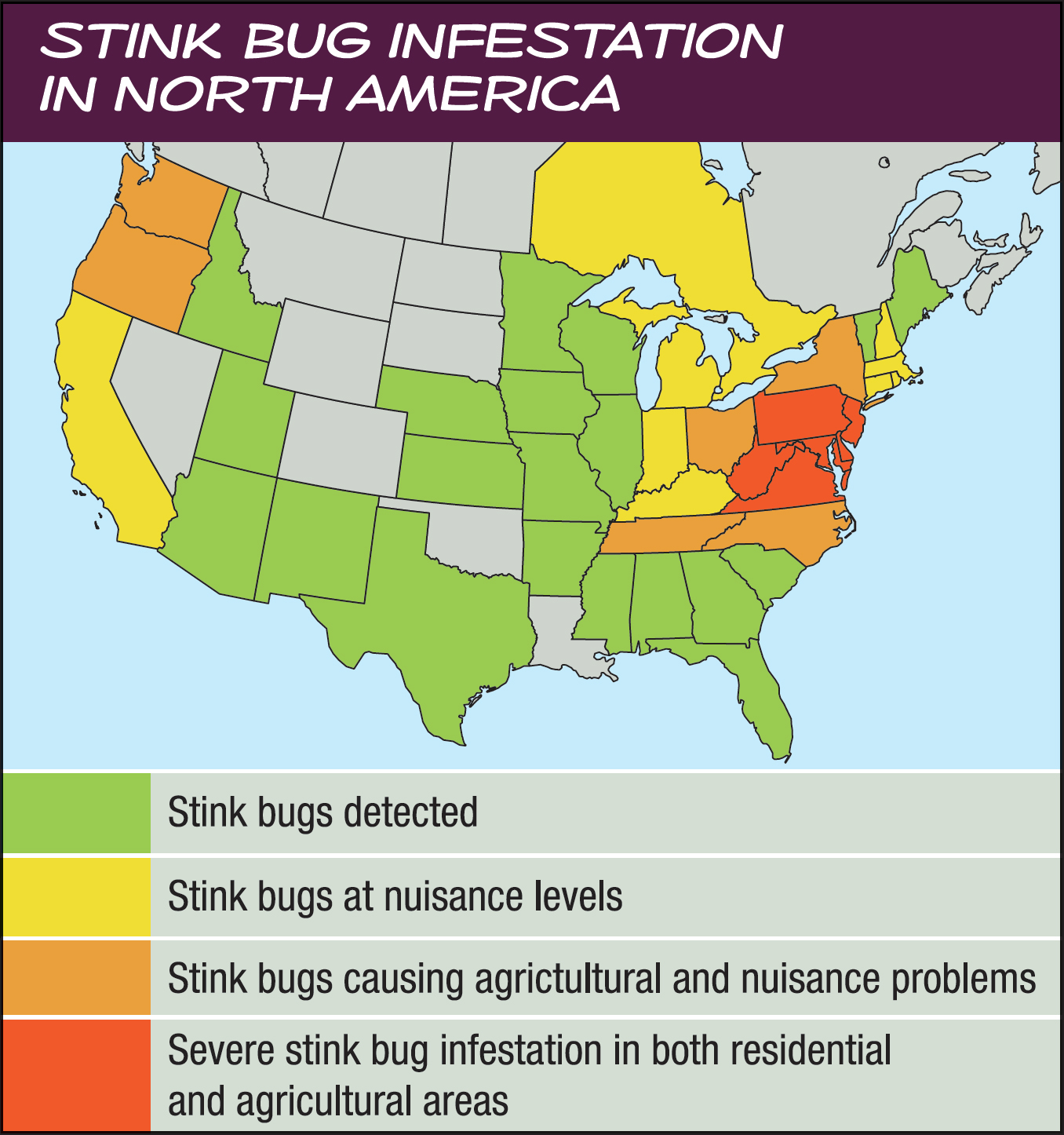 Stink Bug Infestation in North America