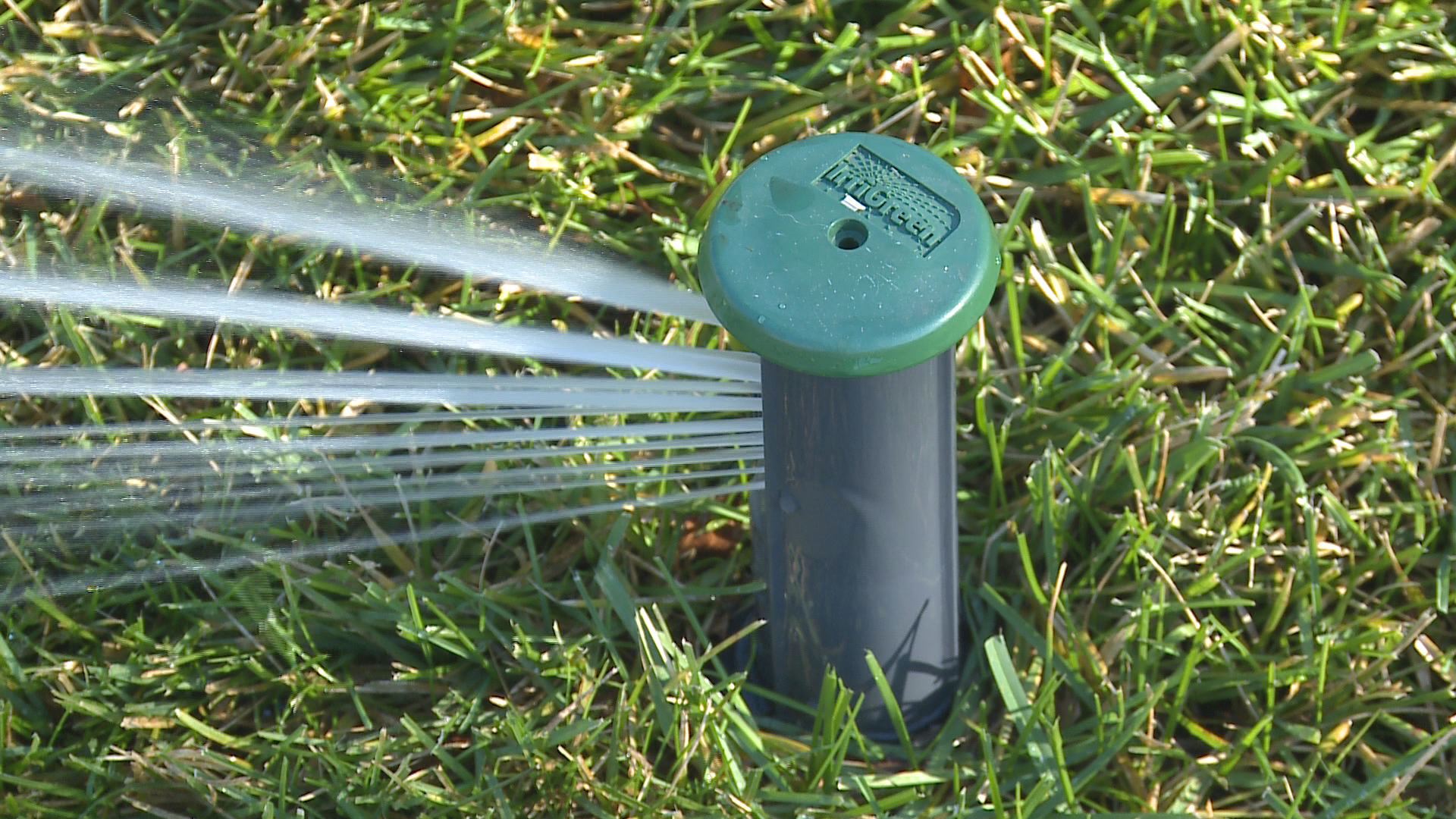 IrriGreen Genius™ Sprinkler