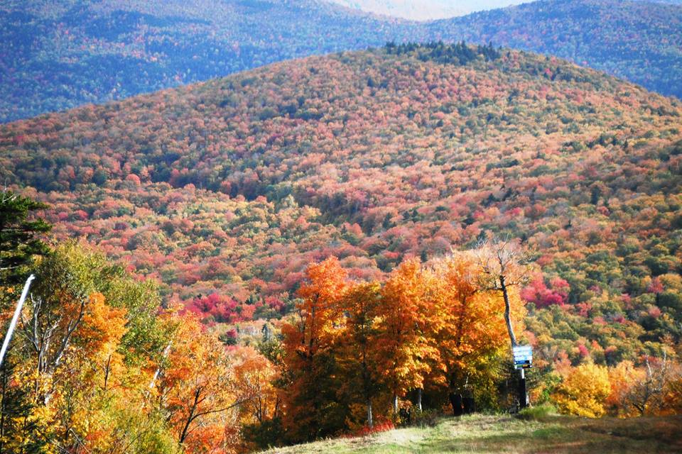 fall foliage view from mountain top