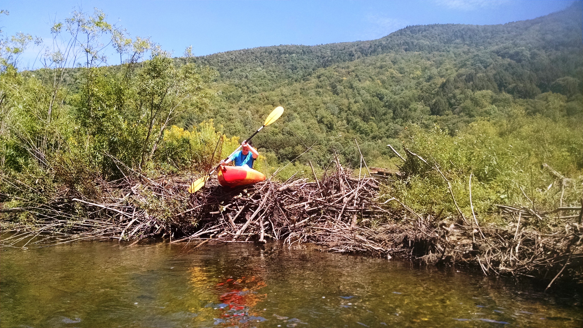 kayaking over a beaver dam
