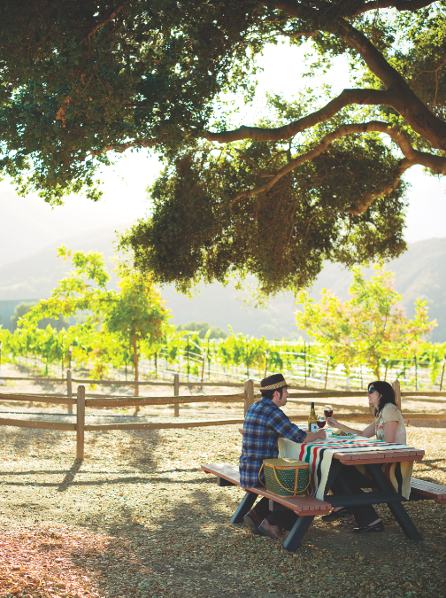 The Best Tasting Room/Vineyard Experience will praise an outstanding Western tasting room or vineyard tour that creates a fun experience out of tasting, while illuminating viticulture and enology.