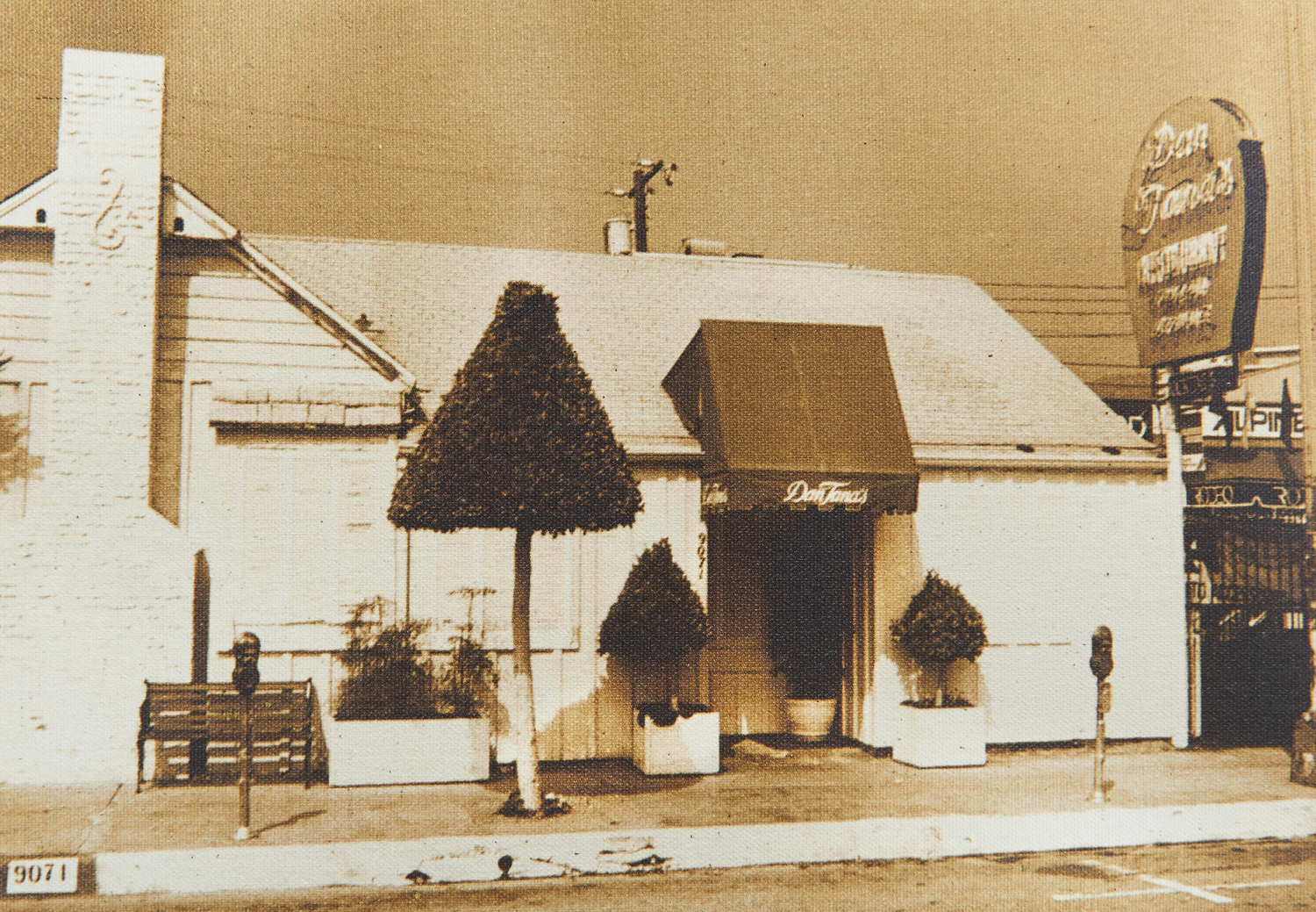 Vintage Tana's - The Restaurant in 1964