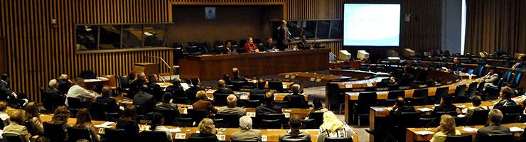 World Energy Forum Annual International Conference at the United Nations Headquarters, New York City
