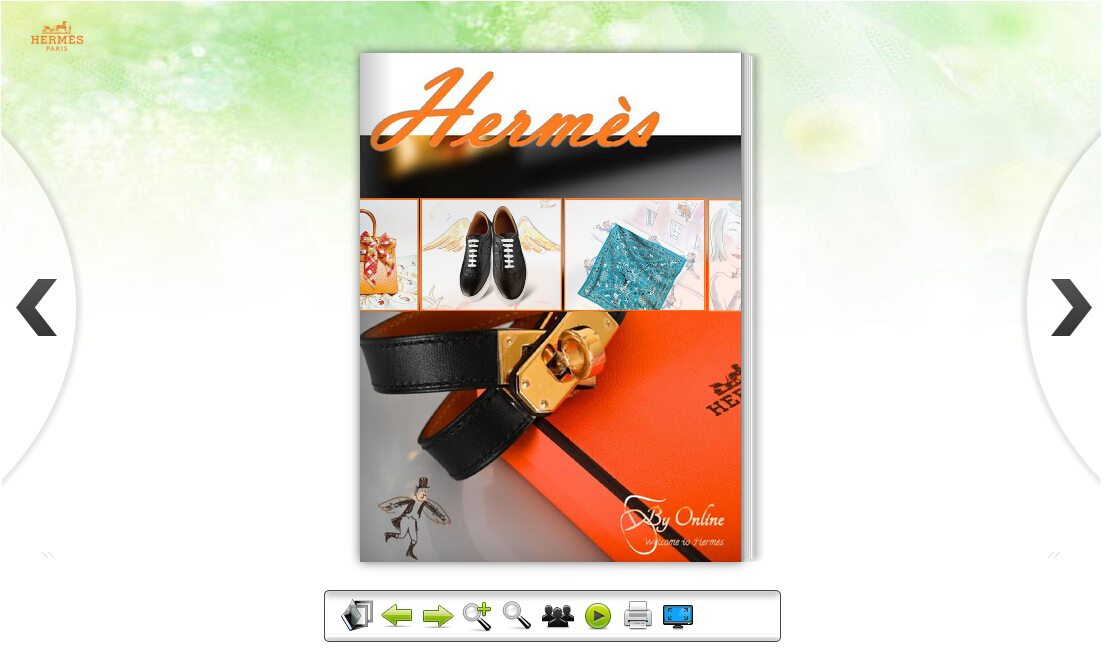 Hermes Shopping Book