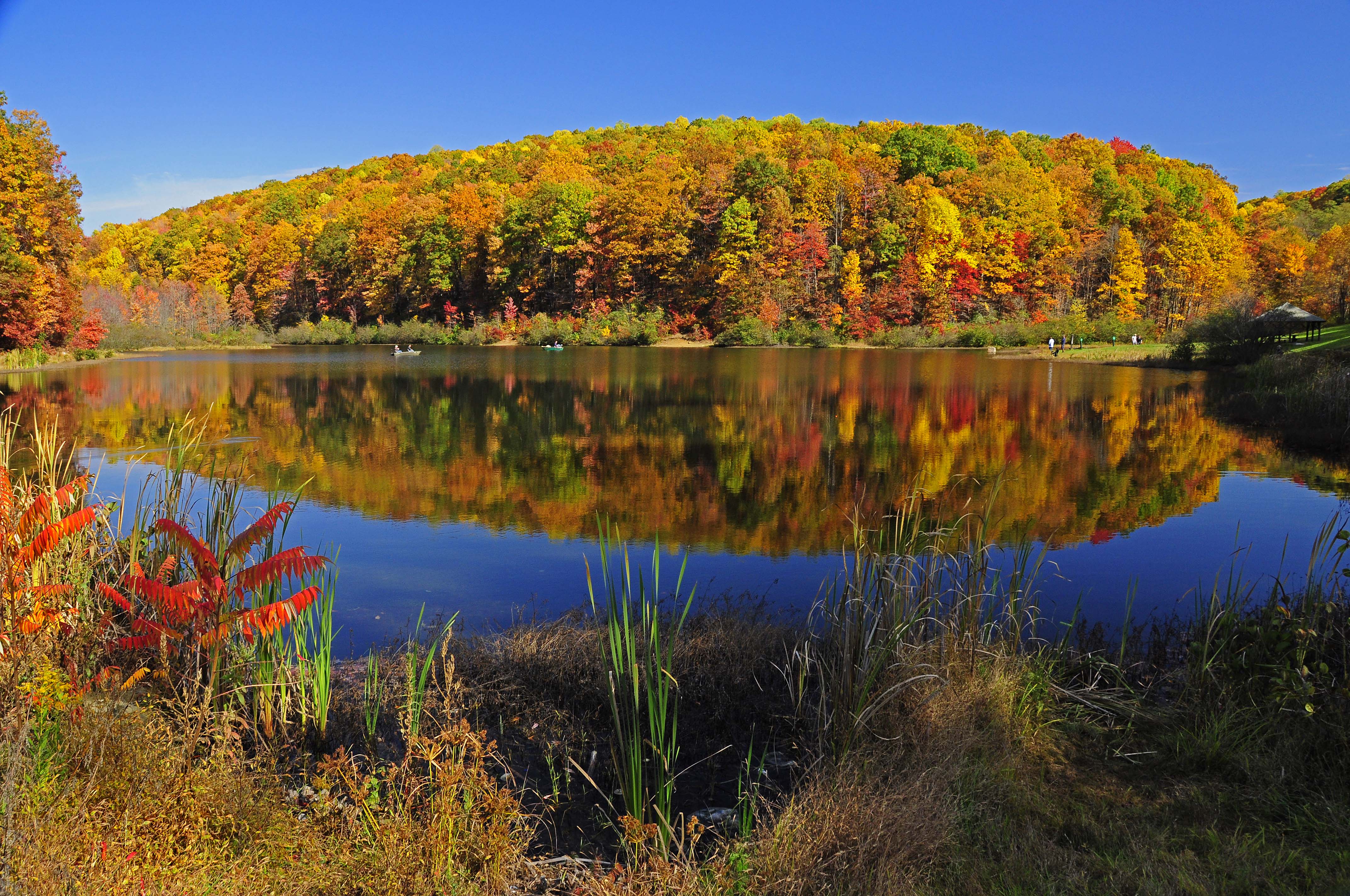 Coopers Rock State Forest is an excellent site to view colorful foliage in West Virginia.