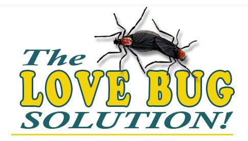 Order the Love Bug Solution online today