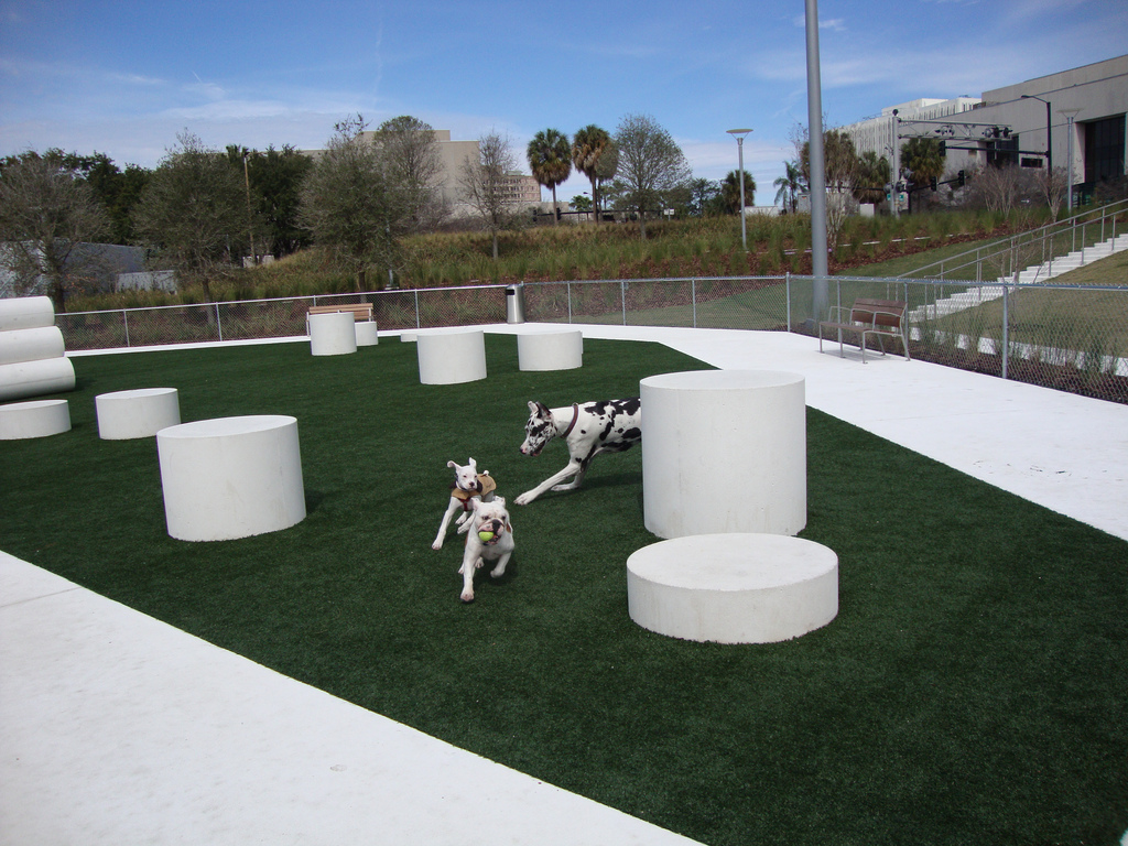 K9Grass by ForeverLawn at the Curtis-Hixon Dog Park in Tampa, Fla.