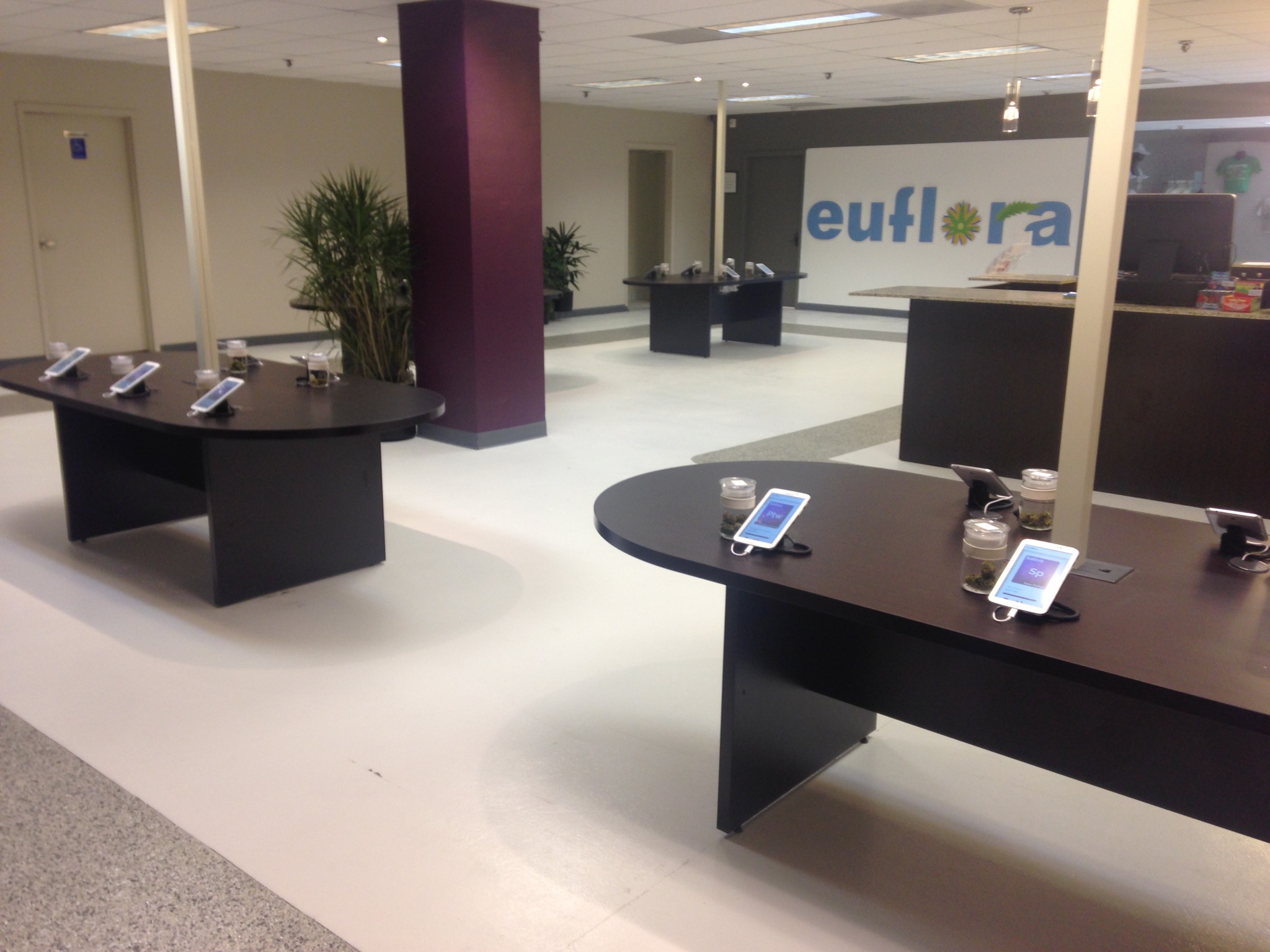 Interactive digital displays educate and inform customers in Denver dispensary Euflora.