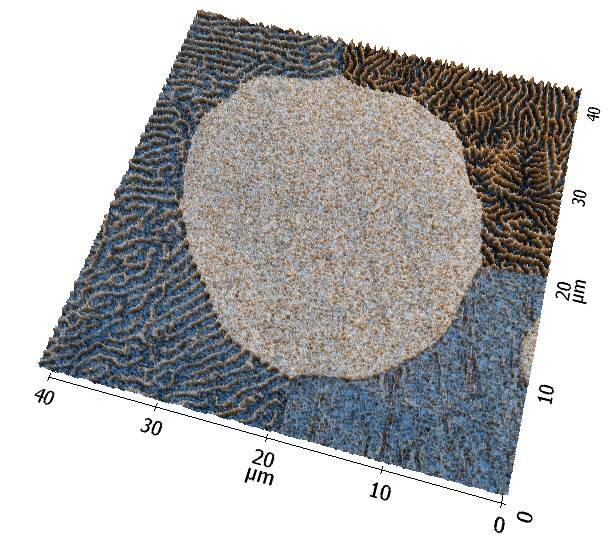 A high resolution magnetic force microscopy (MFM) phase image collected over the surface of Nickel Cobalt alloy. Different material phases of the alloy’s heterogeneous lamellar microstructure