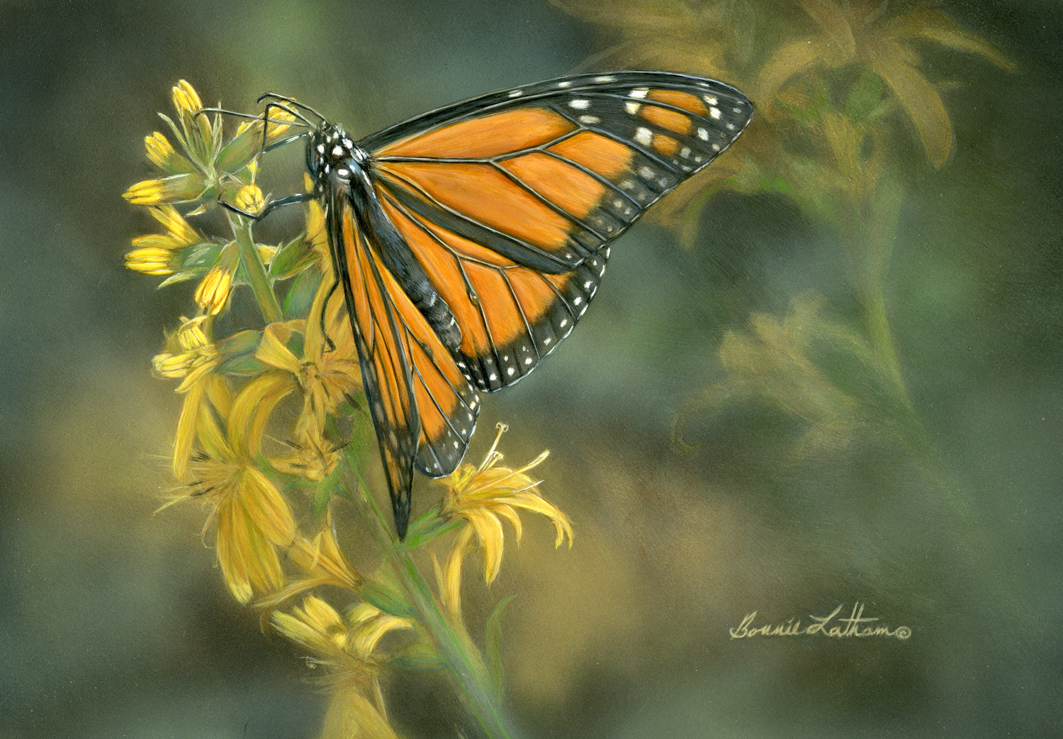 Butterfly by Bonnie Latham
