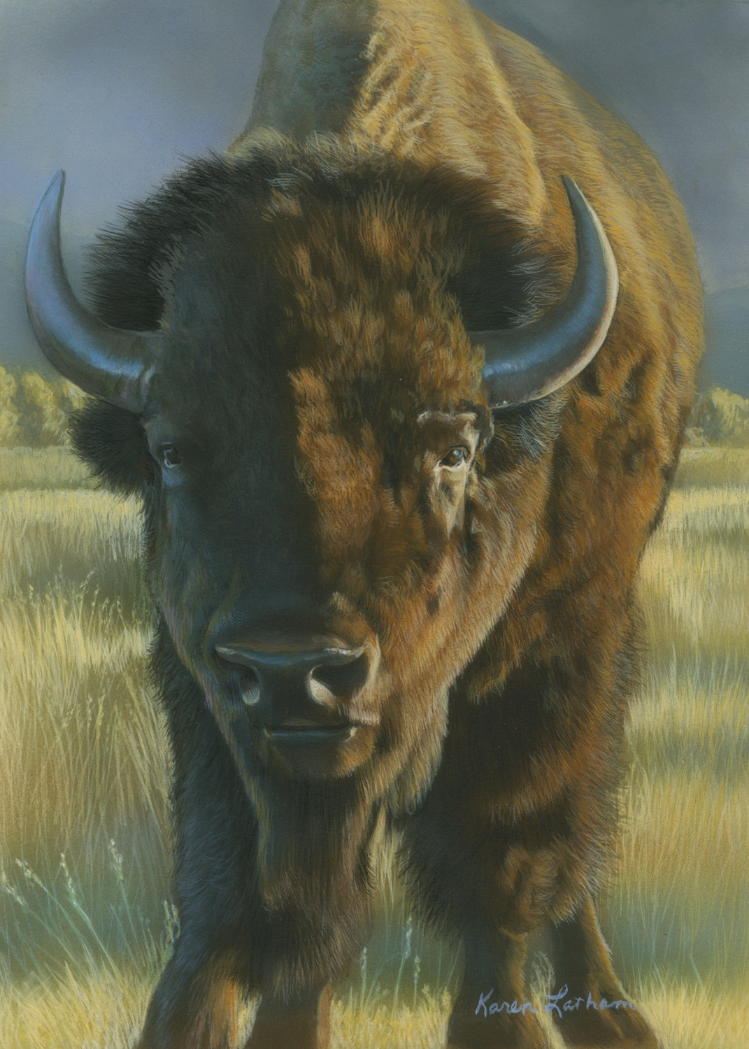 American Bison by Karen Latham