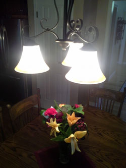 ColorView Lighting Table and Flowers