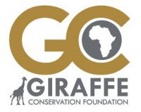 Giraffe Conservation Foundation (GCF)