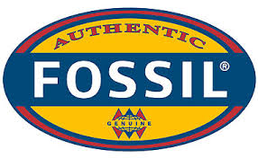 CCNG member host Fossil