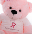 Big pink teddy bear, breast cancer awareness, Komen, Breast Cancer Can Stick It