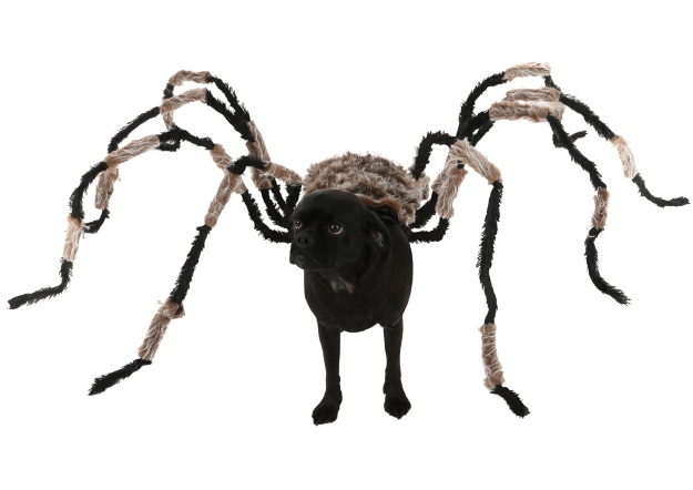 Spider Dog Pet Costume