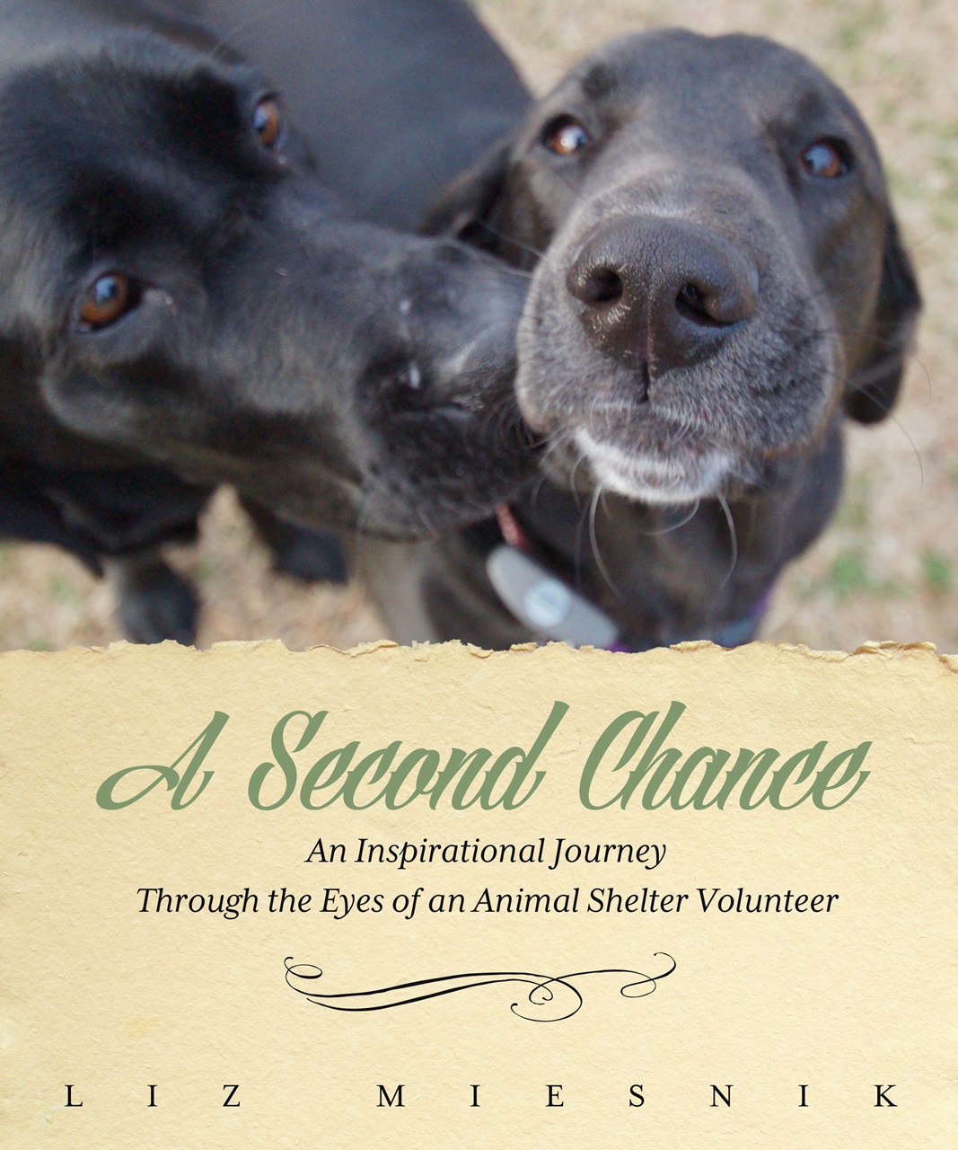 "A Second Chance...An Inspirational Journey Through the Eyes of an Animal Shelter Volunteer" Cover Photo