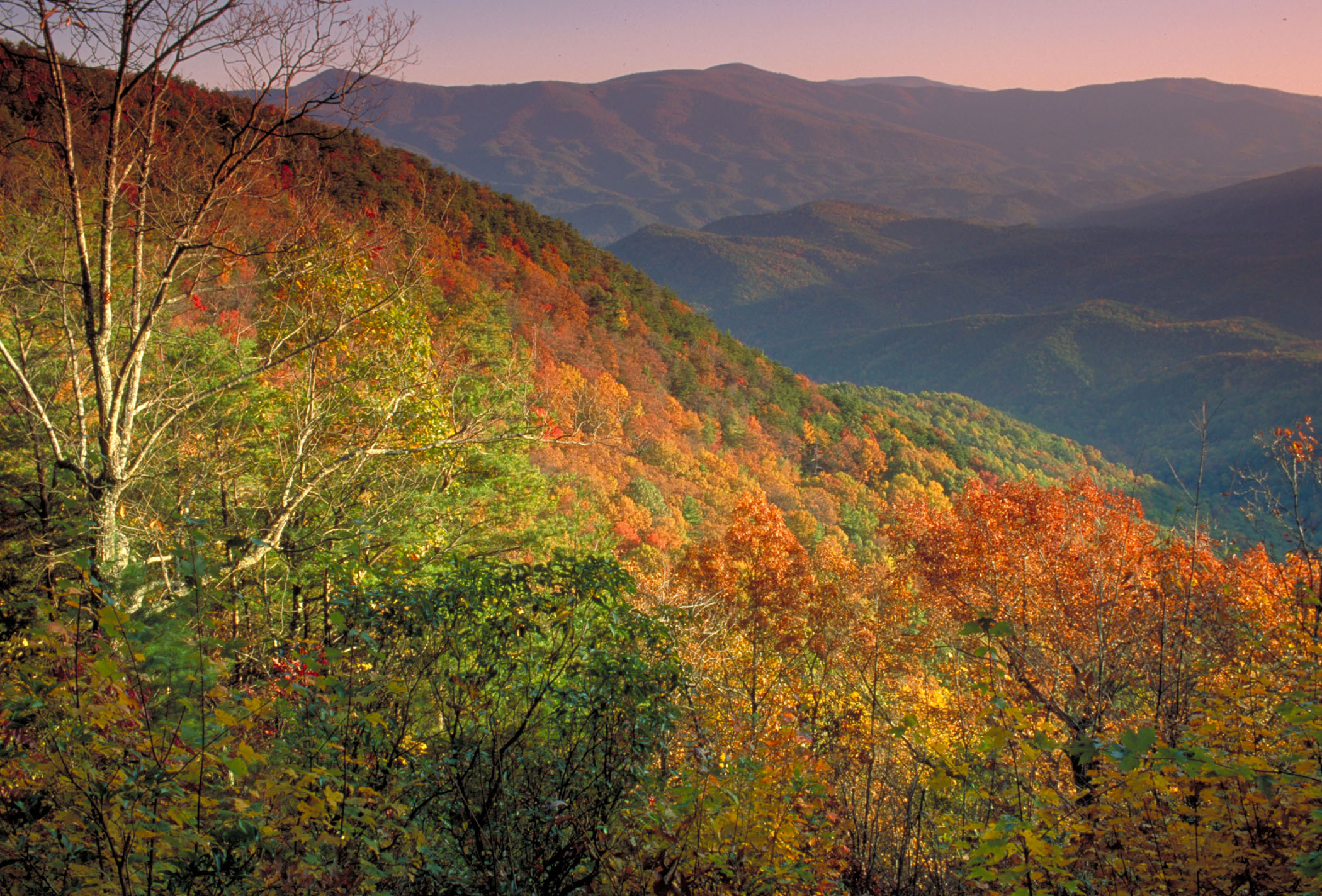 Georgia's Fort Mountain State Park at near-peak leaf season