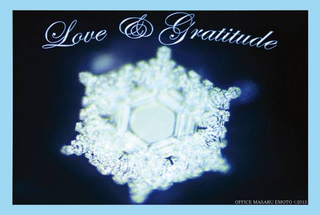 Love and Gratitude Water Crystal -Masaru Emoto