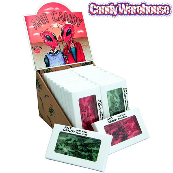 Candy Ant Farms (Now with REAL Ants)