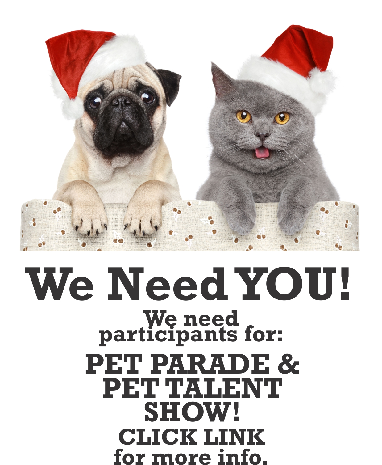 We need you! We are looking for vendors to make our event meow-tastic!