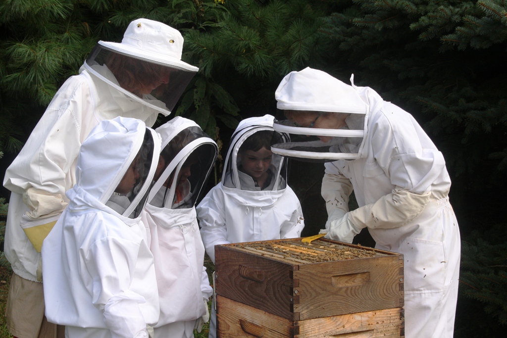 Old Trail School students working with teachers to harvest organic honey from the School's two beehives