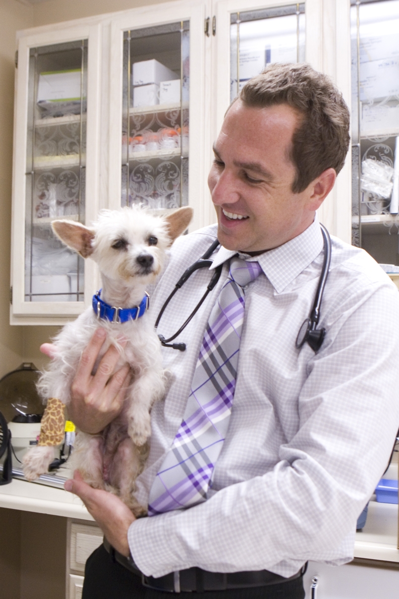 “Since pets can’t communicate verbally, it’s essential to have a great relationship and work closely with their owners so the pets get the best possible care,” Dr. Rand Spongberg.