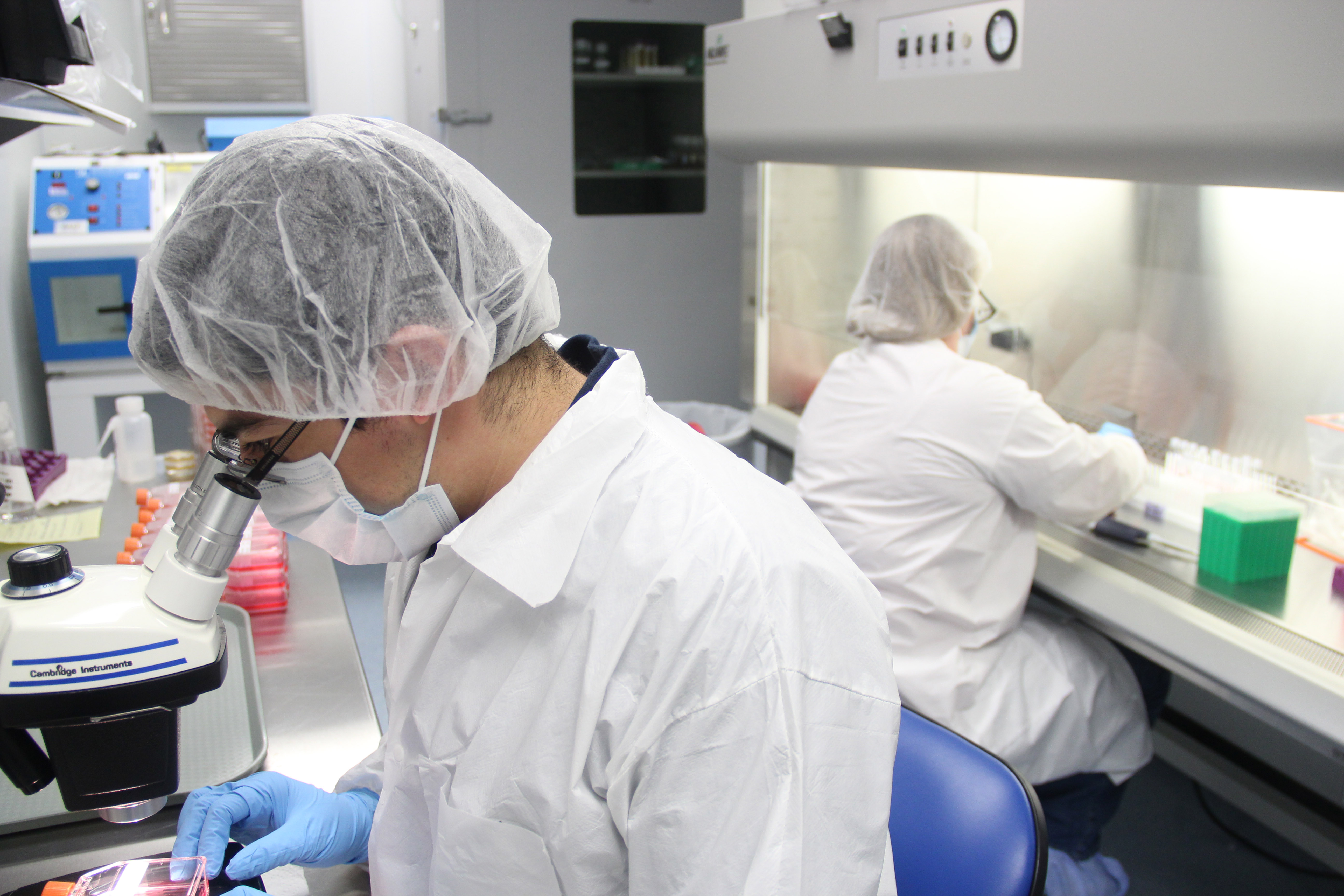 Mycoplasma testing at the ABR laboratory