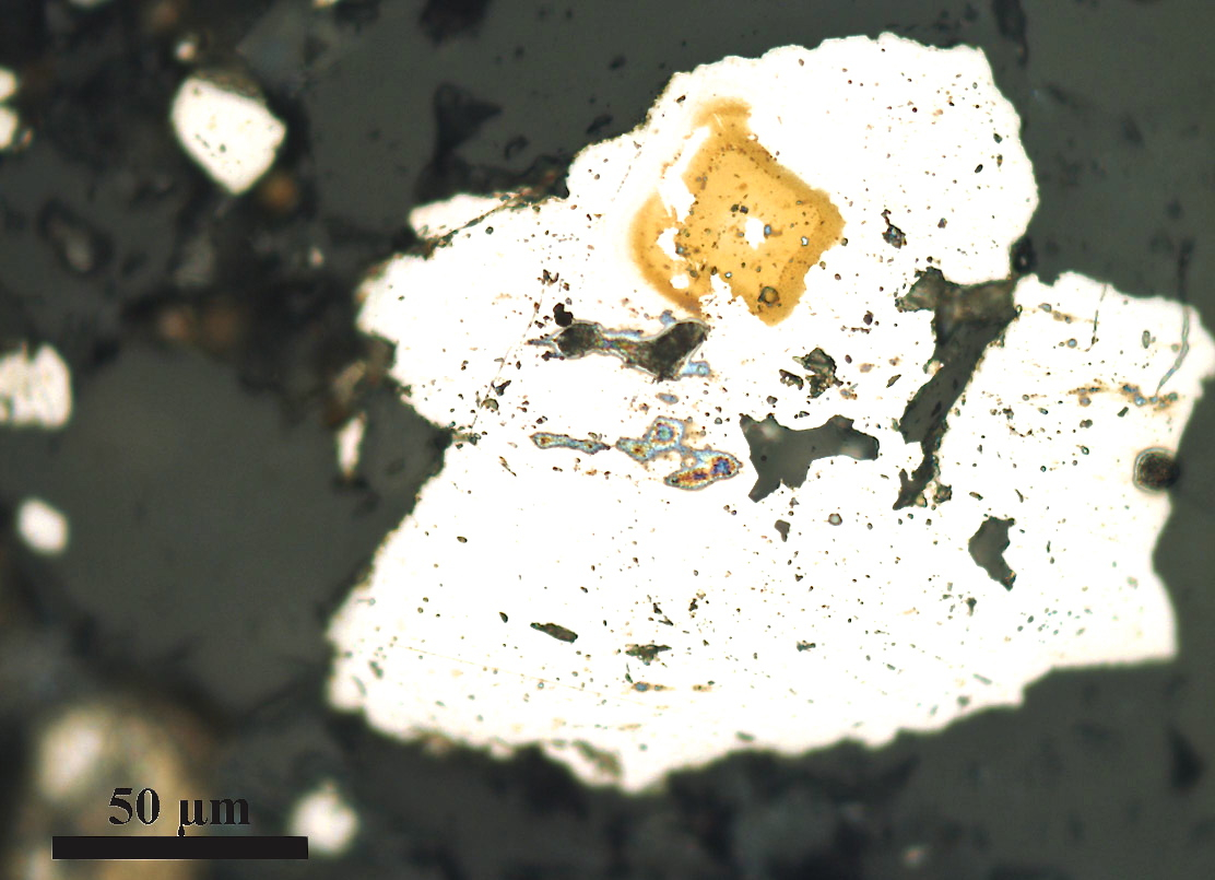 Ancient carbonate rock reveals traces of early sulfur-breathing bacteria