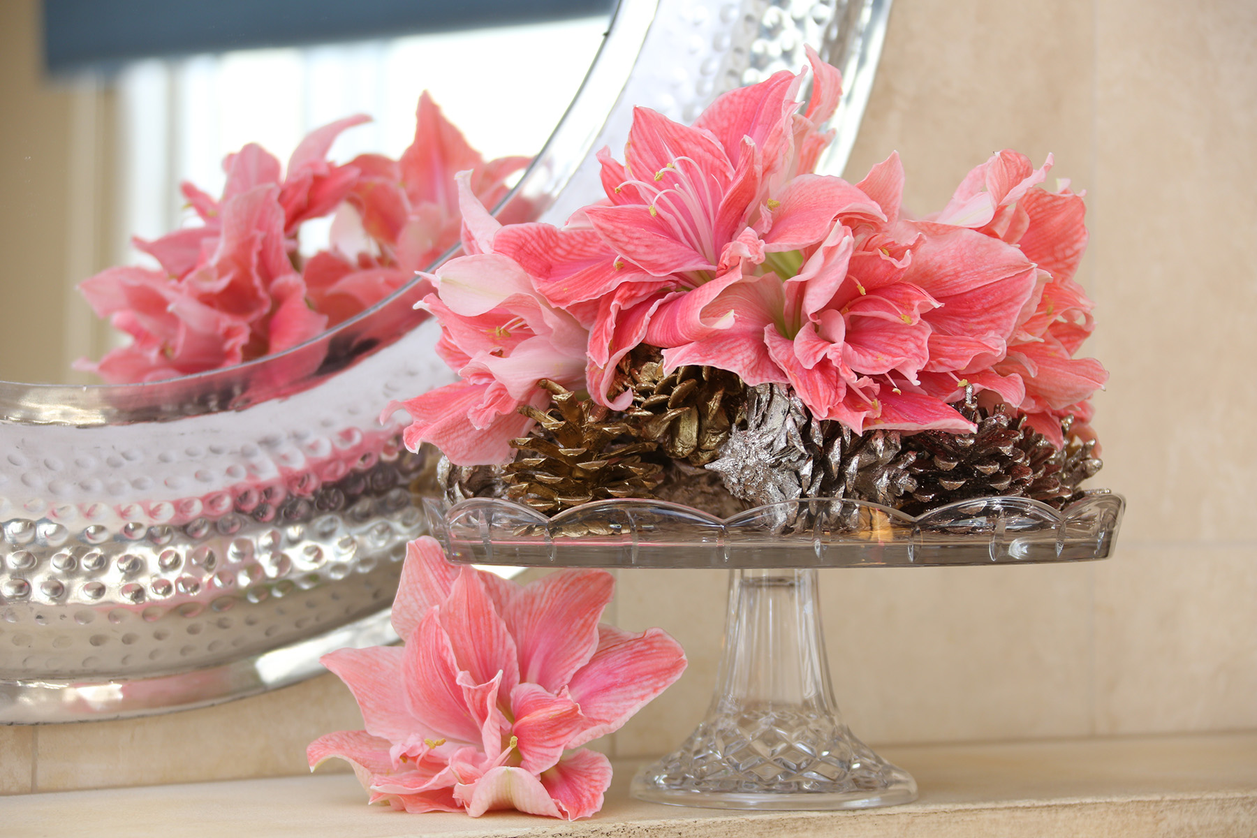 For a stunning mantle, decorate with cut amaryllis from Longfield Gardens
