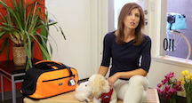 Dog safety expert Melanie Monteiro provides tips and tricks to prepare a pet for travel in a new “Pet Travel Safety Begins With Training” video from Sleepypod.