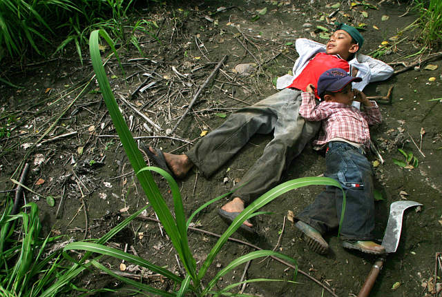 Children working in the sugar cane field in El Salvador