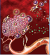 Anti-Angiogenesis and Immune Therapies