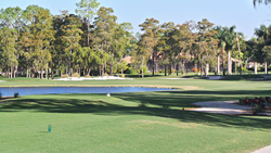 quail country club announces newly renovated creek opening course yield challenges playability purist incredible experience creative features