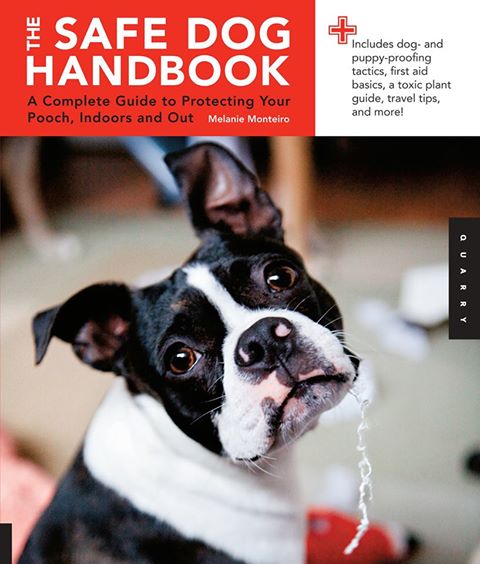 Melanie Monteiro is the author of The Safe Dog Handbook.