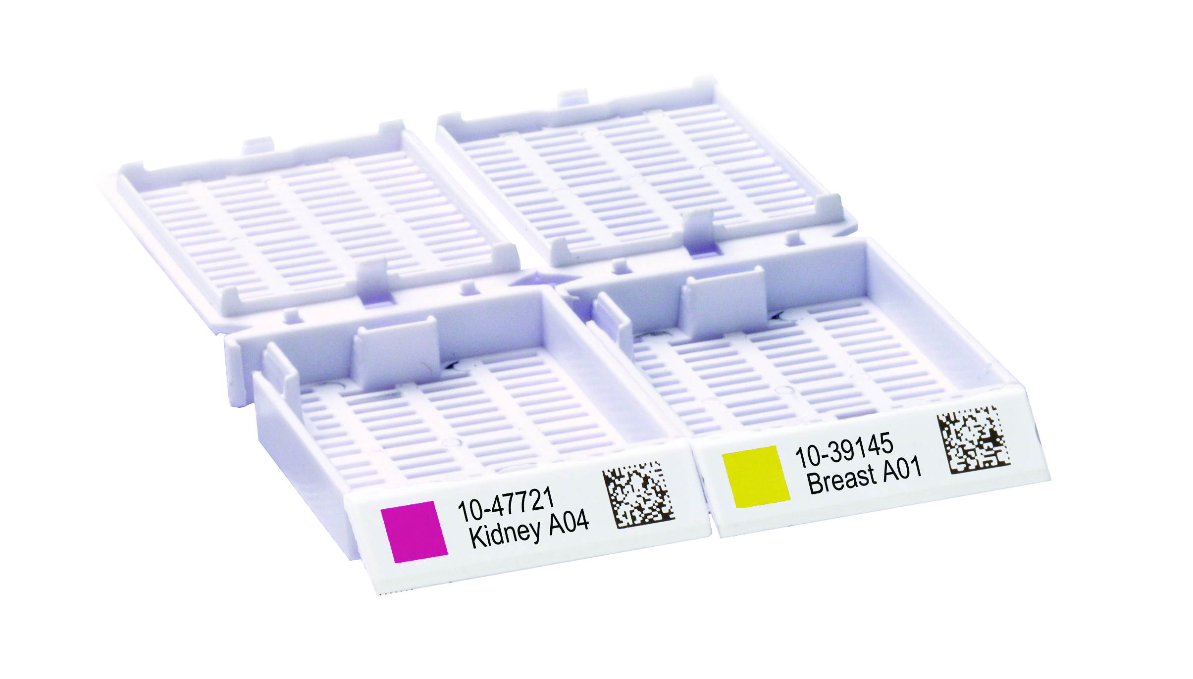 Print 2D bar codes and multiple text identifiers on tissue cassettes