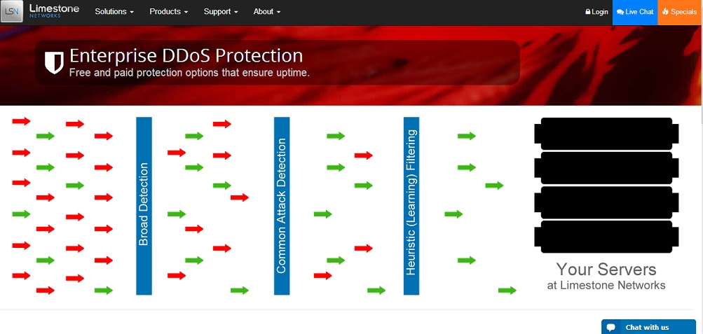 Enterprise DDoS Protection