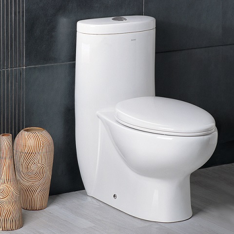 Ariel Platinum TB309-1M Contemporary European Toilet with Dual-Flush