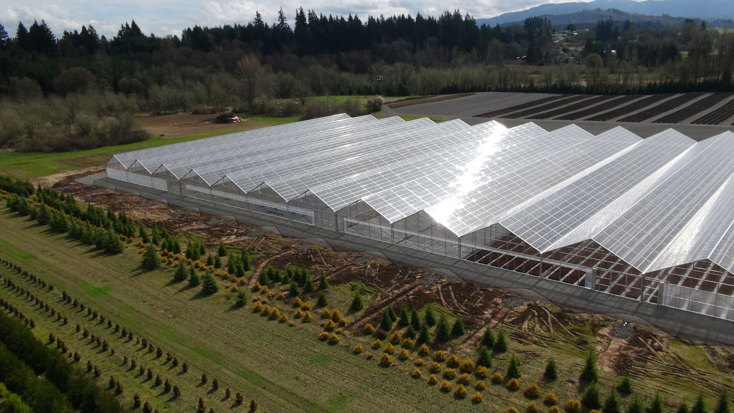 Aerial view of Conley’s Gable Series 7500 Greenhouse Range recently installed at Fall Creek Farm & Nursery in Lowell, OR.  This photo shows phase 1 of 2 of a 7.3 acre sized project.