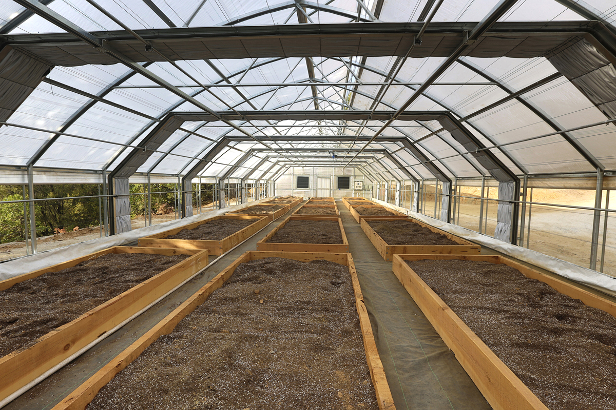 Conley's Newly Developed Light Deprivation Greenhouse for Automation of Light Cycles