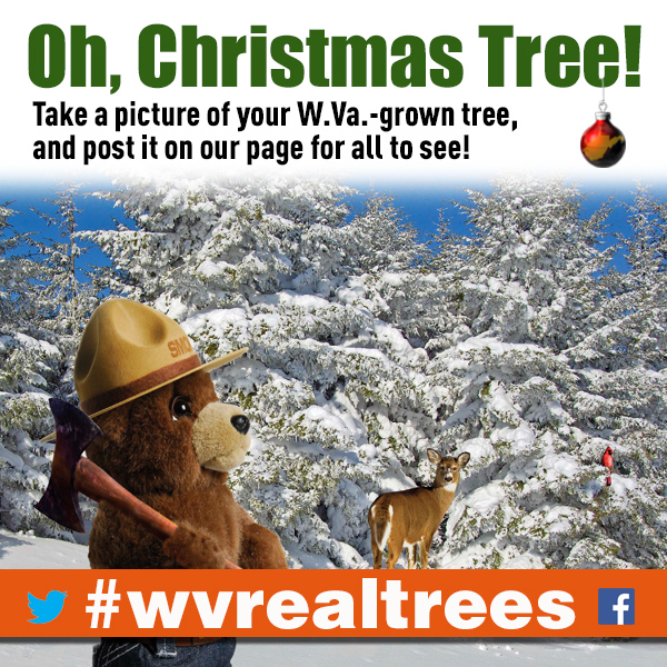 Forestry officials encourage people to post pictures of their W.Va.-grown trees to www.facebook.com/wvforestry, or tweet them to @wvforestry using #wvrealtrees.