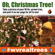 Find the perfect real tree and post a picture for all to see: www.facebook.com/wvforestry or tweet @wvforestry using #wvrealtrees.