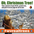Forestry officials encourage people to post pictures of their W.Va.-grown trees to www.facebook.com/wvforestry, or tweet them to @wvforestry using #wvrealtrees.