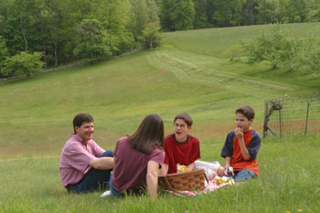 Family picnicing