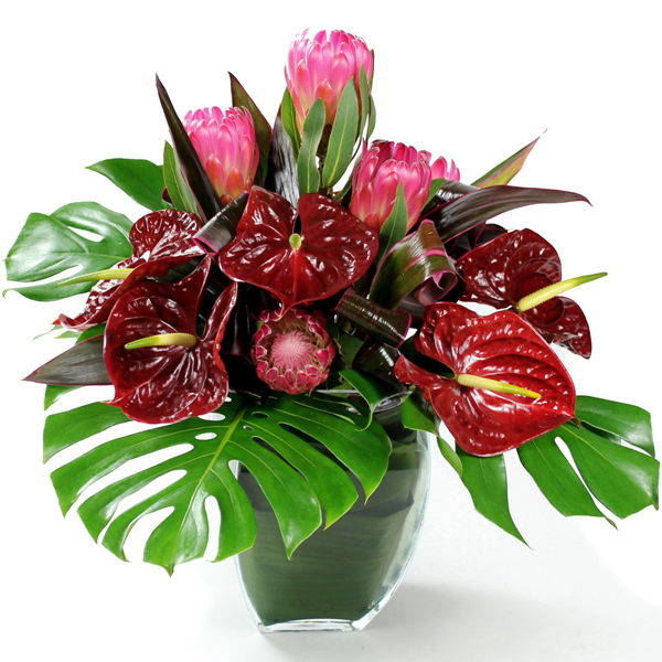 Winter Floral Arrangement with Anthurium Flowers