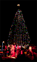 Idyllwild's 100-foot-tall Christmas Tree