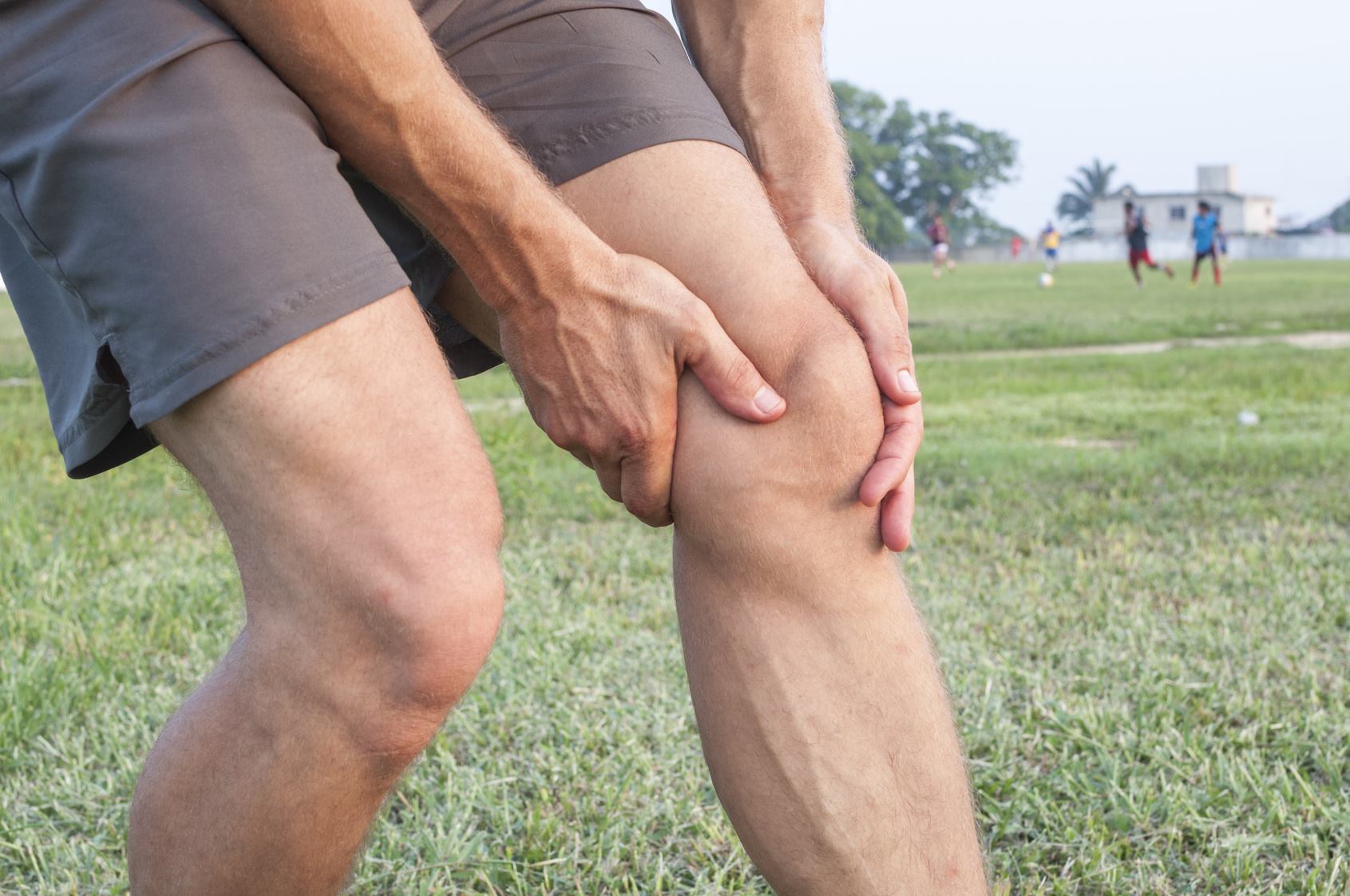 In the United States, more than 500,000 knee replacements and 175,000 hip replacements are performed each year.