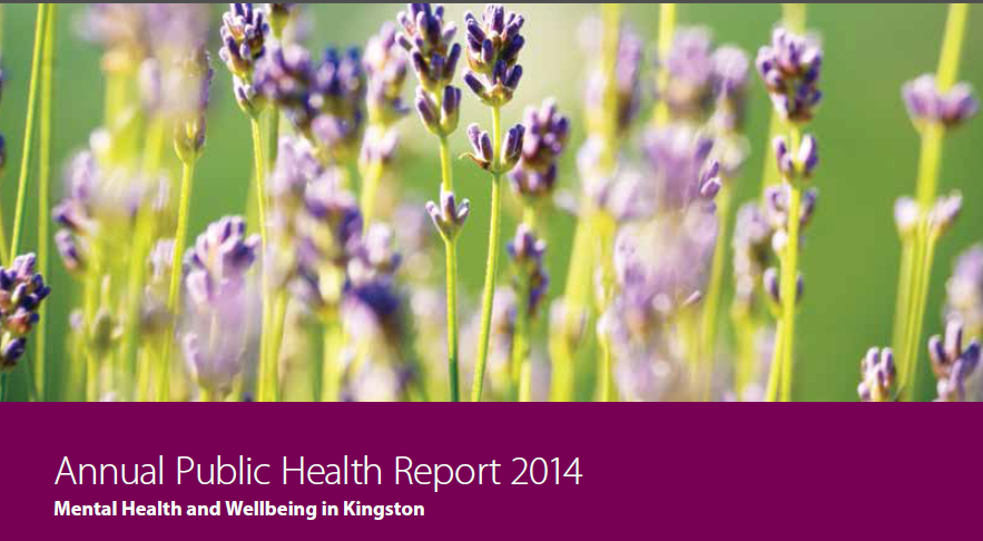 Annual public health report 2014